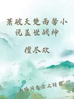 萧破天楚雨馨小说盖世战神