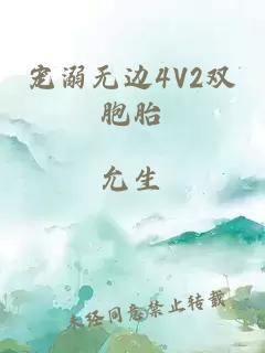 宠溺无边4V2双胞胎