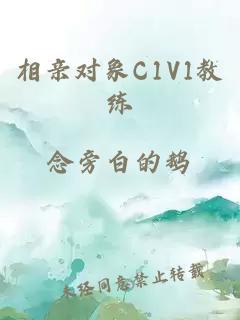 相亲对象C1V1教练