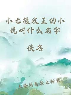 小七摄政王的小说叫什么名字