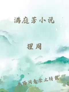 满庭芳小说