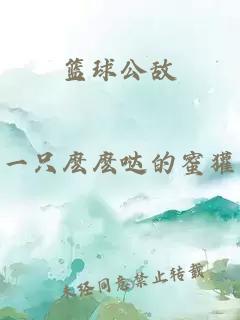 篮球公敌