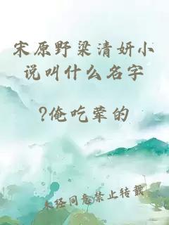 宋原野梁清妍小说叫什么名字