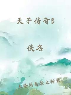 天子传奇3