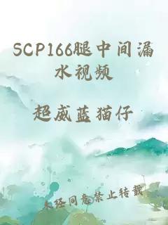 SCP166腿中间漏水视频