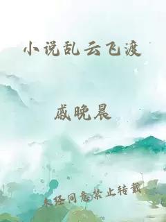 小说乱云飞渡