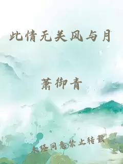 此情无关风与月