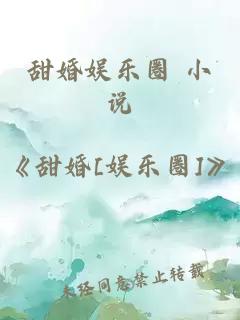 甜婚娱乐圈 小说