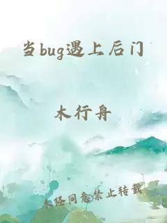 当bug遇上后门