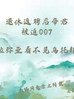 退休返聘后帝君被迫007