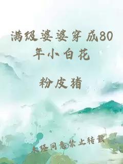 满级婆婆穿成80年小白花