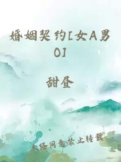 婚姻契约[女A男O]