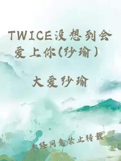 TWICE没想到会爱上你(纱瑜）